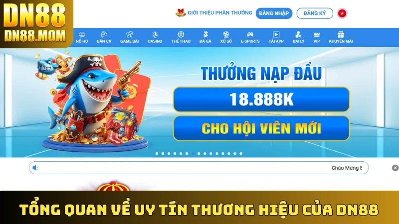 Các Bước Đăng Nhập DN88 Chi Tiết